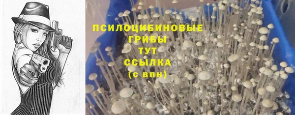 тгк Аркадак